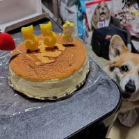 アドベンに行ってきたよ2