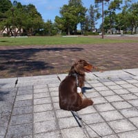 一度決めたことは・・・変更ありです