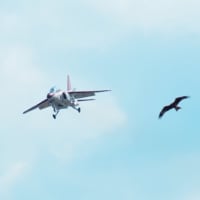 芦屋基地航空祭2023