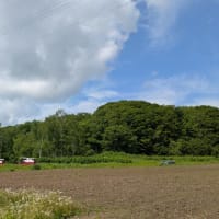 苫小牧からの