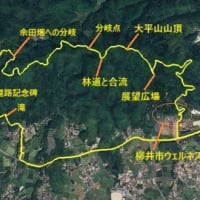 柳井市　大平山尾根をのんびり縦走(2/2)