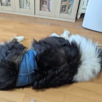 18ジャスミンキッズ　お誕生会　前編