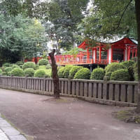 乙女稲荷神社のアレが無い