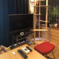 「キャットタワーへの道のり」（回顧録）002