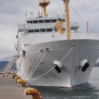 海技教育機構  航海練習船 大成丸 9687784