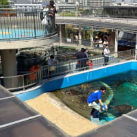 「姫路市立水族館」＠姫路