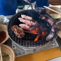 キャンプに行けなかったので