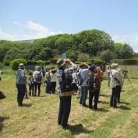 清々しい五月晴れ！ ミニ探鳥会開催！