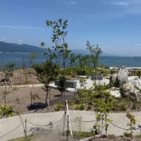 LAGO 大津 たねや
