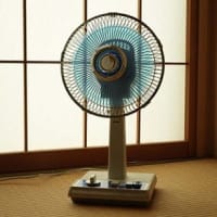 ７月　１３日