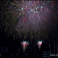 宮崎市納涼花火大会（3）