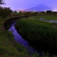 富士山　「生まれて初めてのﾎﾀﾙさん散策　」富士子さんとの接点が...４度目の　( ^)o(^ )