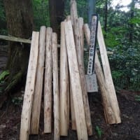 久し振りに金剛山に登った２