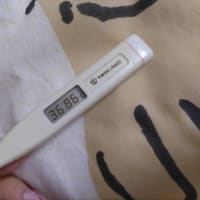 下がらないよ