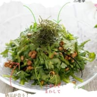 もっとあの頃の香りを！春菊編/365日野菜シリーズ