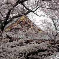 池上本門寺にて
