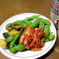 ドローンにてＮ谷上空を