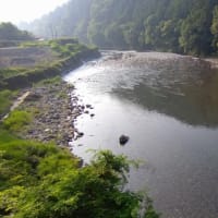 今日の那賀川上流