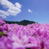ブログ更新しました パート3