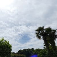 【立憲 野田代表】内閣不信任案提出断念を石破首相に伝達？石破首相は解散しない方針を決定？( ｀ー´)ノ