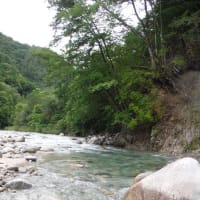 大島河原河川公園オートキャンプ場 blueberryの釣行記