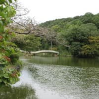4か月ぶりの薬師池公園