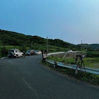 鯉流しショットに初挑戦～。