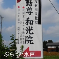 水戸の血にかかわること