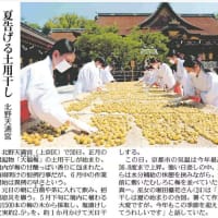 北野天満宮　夏越の大祓　土用干し　猫たちの茅の輪くぐり