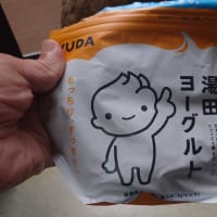 雨上がりの長井市です