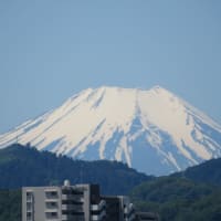 朝日ヶ丘富士見公園から見る丹沢と富士山 2024.5.11