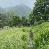 梅雨入りしましたね