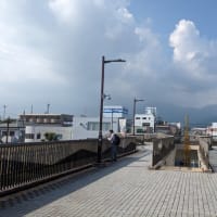 篠窪（しのくぼ）の隣町 草月流佐久山様が「ヤマゴボウ」を生ける(2025/07/08）