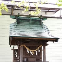 愛媛県西条市、壬生川「森岡神社のクスノキ」（保存樹木）です！！
