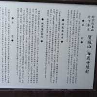 焼津市の徳川家康ゆかりの地(3)海蔵寺