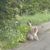 青森２０２５　１日目　その１