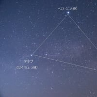 　星　空　散　歩　　サソリ座と夏の大三角形