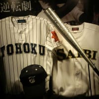 甲子園歴史館／旧高校野球展示ブース