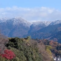 ついに冬景色