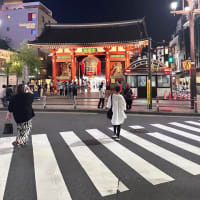 ほおずき市に行くの巻