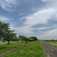 阿武隈川の堤防を散歩して来た。