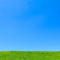 地団太を踏んでいます。