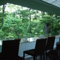 表参道の森の中・Nezu Cafeは究極の癒しカフェです