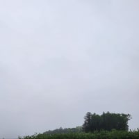 朝空