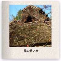 フォトブックを作りました
