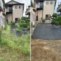 防草シートから生えてしまっている草を含めたアパート敷地内の除草作業