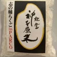 第1,258話　具体的な行動を起こせる人と起こせない人
