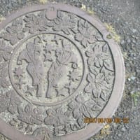ささゆりの里として・・・
