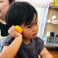 実習生