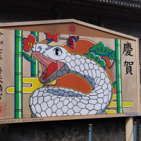 初詣に行ってきました。